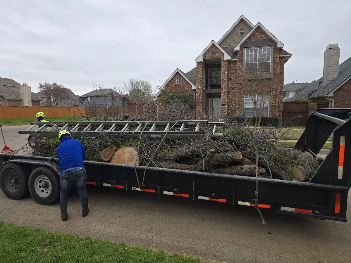 Expert Tree Pest Control with proper safety equipment in Oconee
